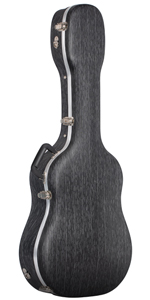 black line guitar case