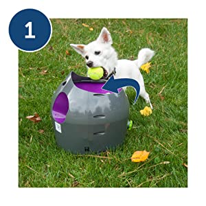 dog ball launcher automatic; tennis ball launcher; dog toys; ball thrower; auto dog ball launcher