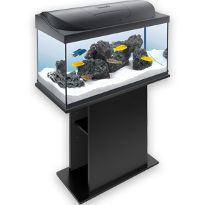 AquaArt Cabinet
