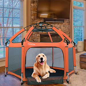 playpen for pet