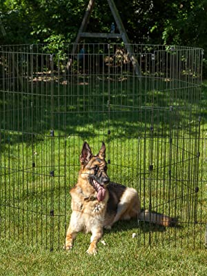 Iris Ohyama, Outdoor dog playpen / puppy playpen, door with latch, for dog - Wire Pet Circle 
