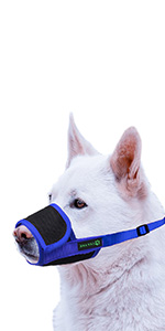 Dog Muzzle