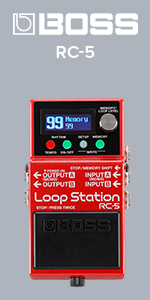 looper, boss, loop station, rc, rc-5, ed sheeran, guitar, bass, keyboard, pro,