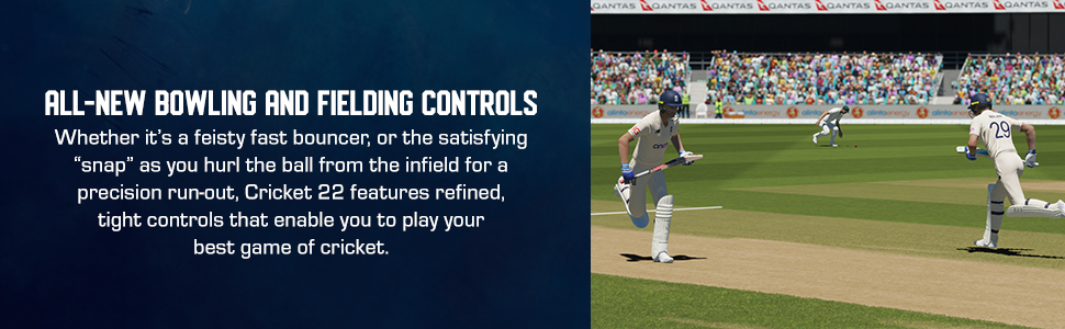 Cricket 2