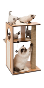 Box Series