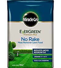 Miracle-Gro EverGreen Premium Plus No Rake Moss Remover Lawn Food