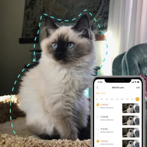 Dome1 security camera