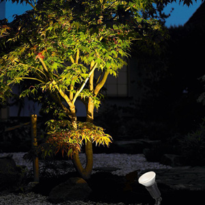 par38 bulbs for spike light