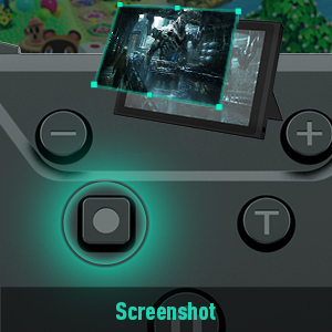 switch controller