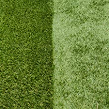 grass