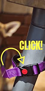 Canny Lead Connect for use with Canny Collar anti pull head collar