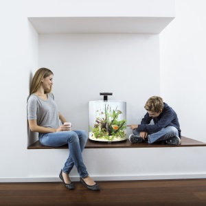 aquarium, tetra, fish tank, explorer line