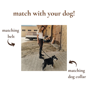 match with your dog