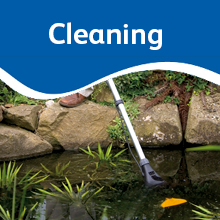 cleaning ponds aqutics