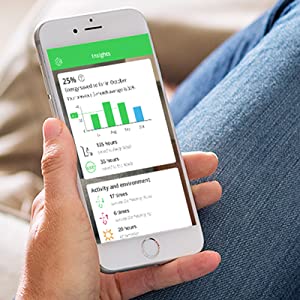 Insights and heat report