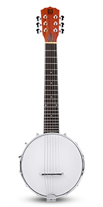 6 string banjo