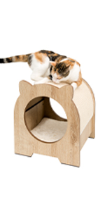 Minou
