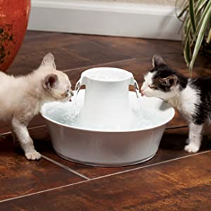 petsafe avalon fountain, water drinking fountain, pet drinking fountain, home animal fountain, cat