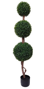Triple Ball topiary