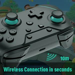 switch controller