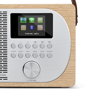 FM Digital Portable Radio Wireless Bluetooth Speaker