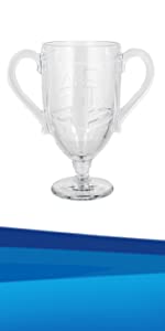 Playstation Trophy Glass