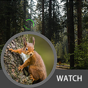 Zoom Binoculars for Adult