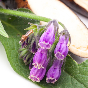 JOJOBA, WHEAT & EVENING PRIMROSE OILS