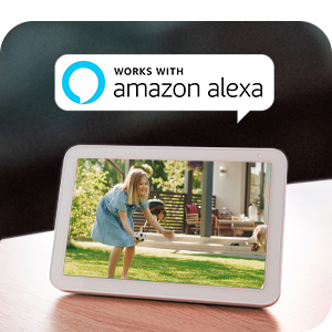 work with alexa