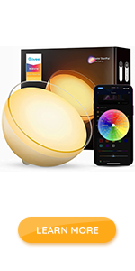 Govee Smart Portable Light