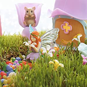 Fairy Garden