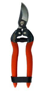 Primus Rose Miracle Scissors