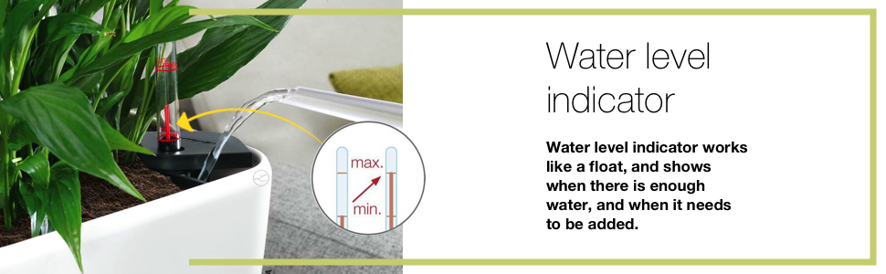 Lechuza Self Watering system