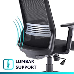 lumbar support desk chair