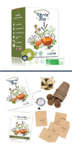 Flavours of the World Kit