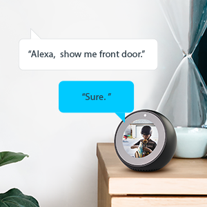 Works with Alexa