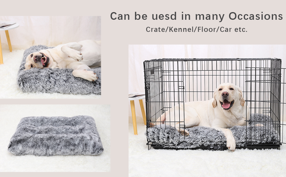 dog bed medium dog beds
