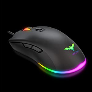 mouse