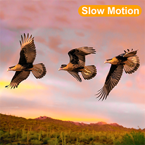 Slow Motion