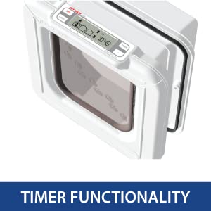 Timer Functionality