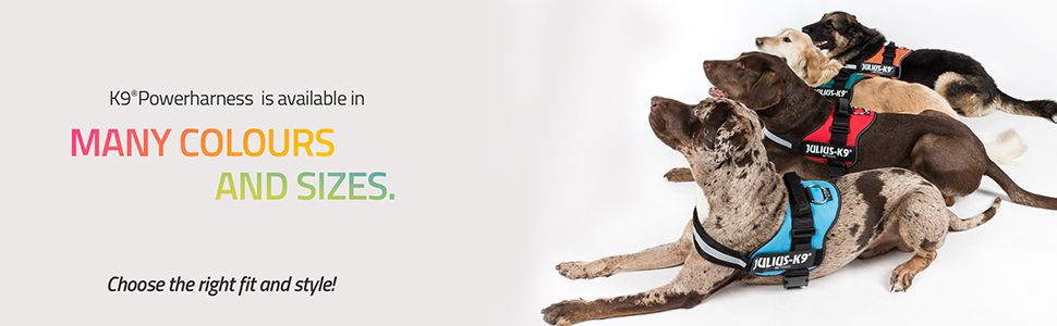 Julius-K9, K9, Powerharness, dog, walking, comfort, control