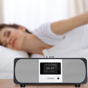 Spotify Connect 20W Stereo Sound