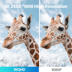 2K WQHD VS 1080P Resolution