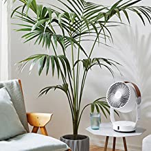 Modern stylish swiss