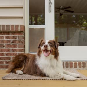 pet door, cat flap for glass doors, cat door indoor, Pet Door for sliding glass door, Glass pet door