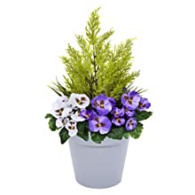 grey pot patio planter