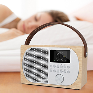 LEMEGA M2+ DAB Digital Portable Radio Wireless Bluetooth Speaker 