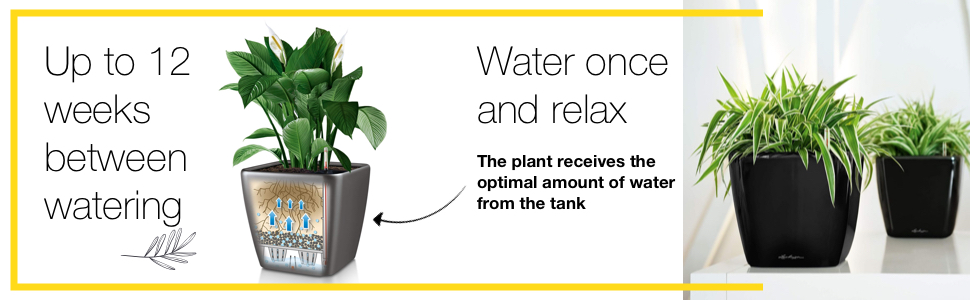 Quadro LS flower pot