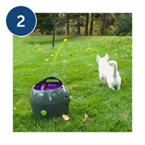 dog ball launcher automatic; tennis ball launcher; dog toys; ball thrower; auto dog ball launcher