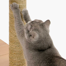 Cat scratching posts